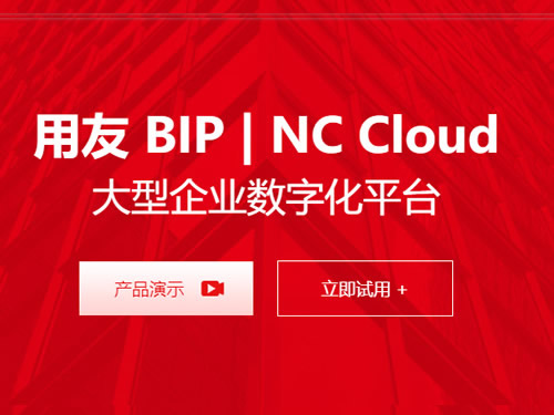 用友BIP